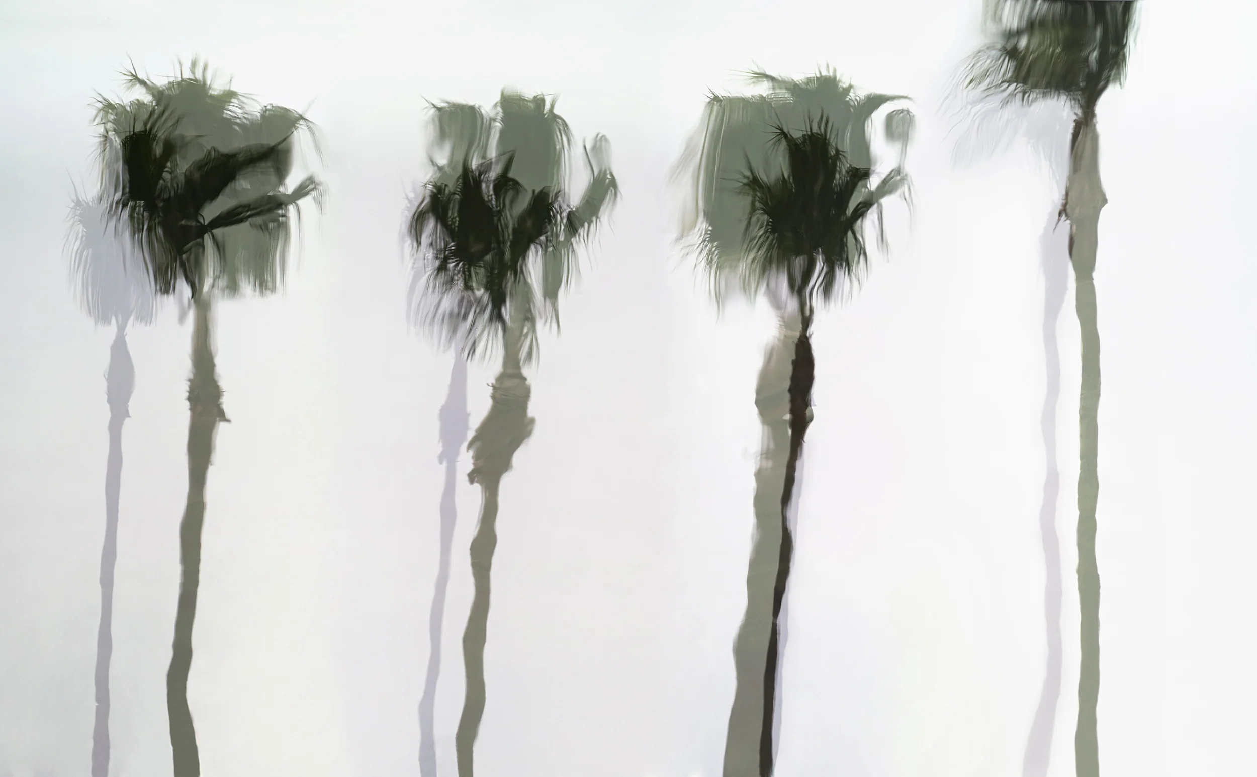 Watercolor Palms #2