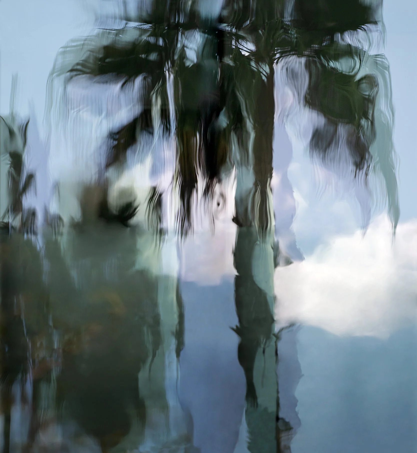 Painted Palm #1