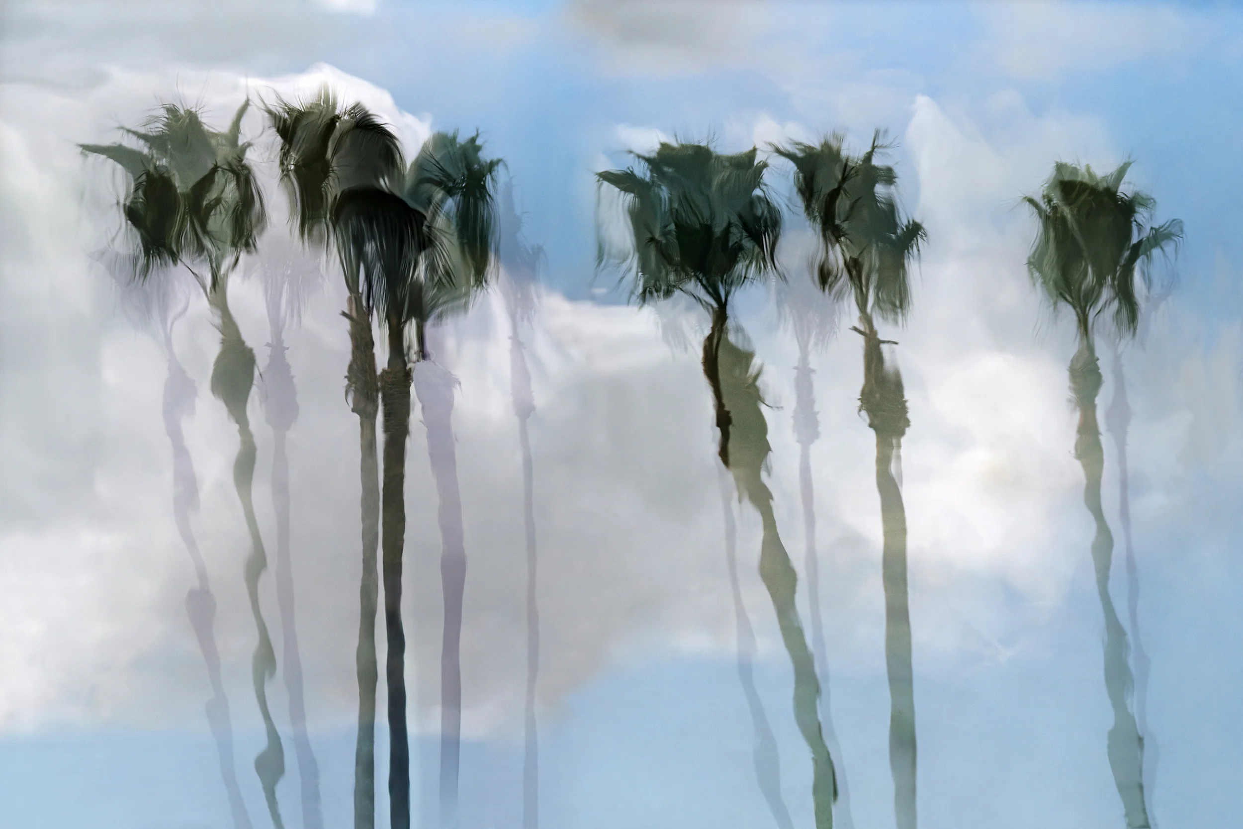 Watercolor Palms #1