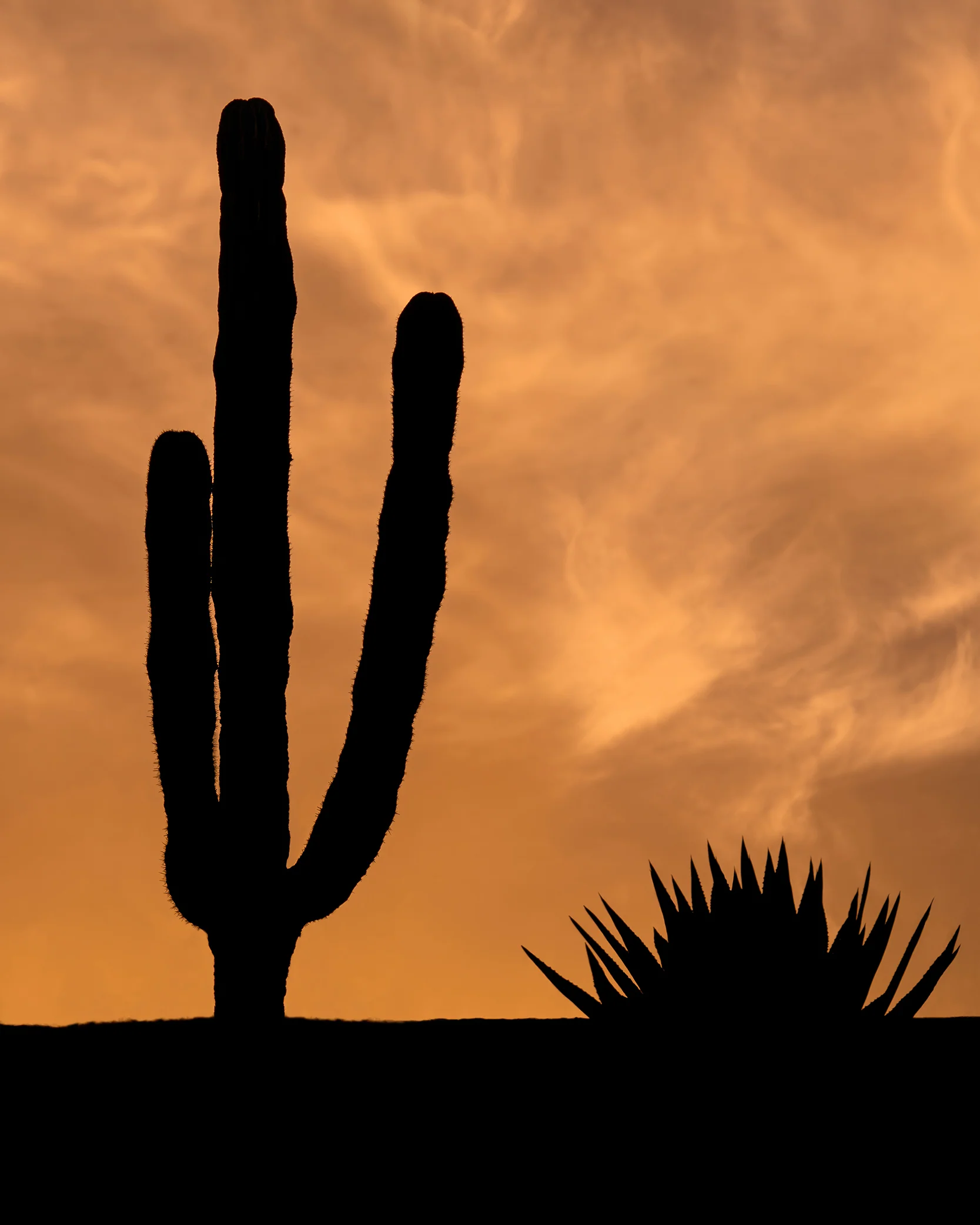 Desert Cloud