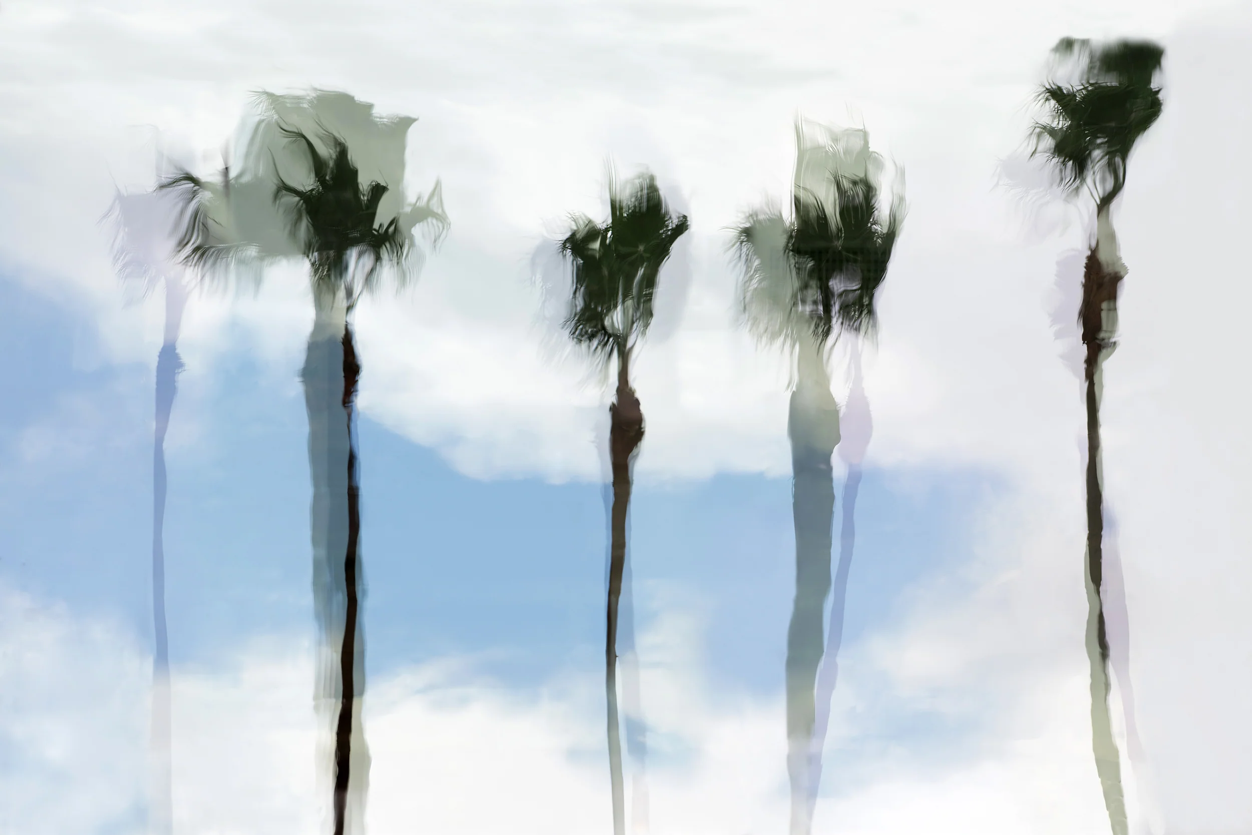 Watercolor Palms #4