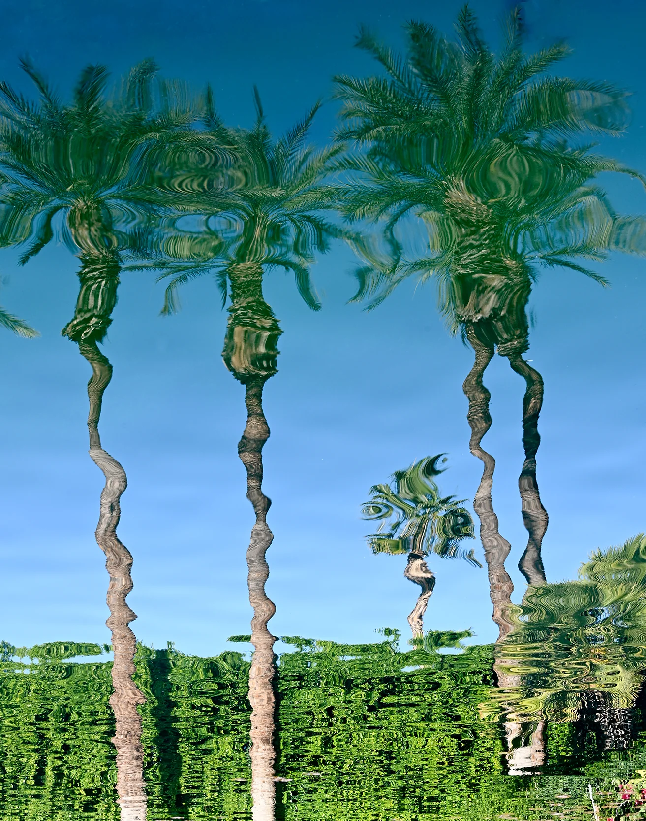 Tropical Mirror