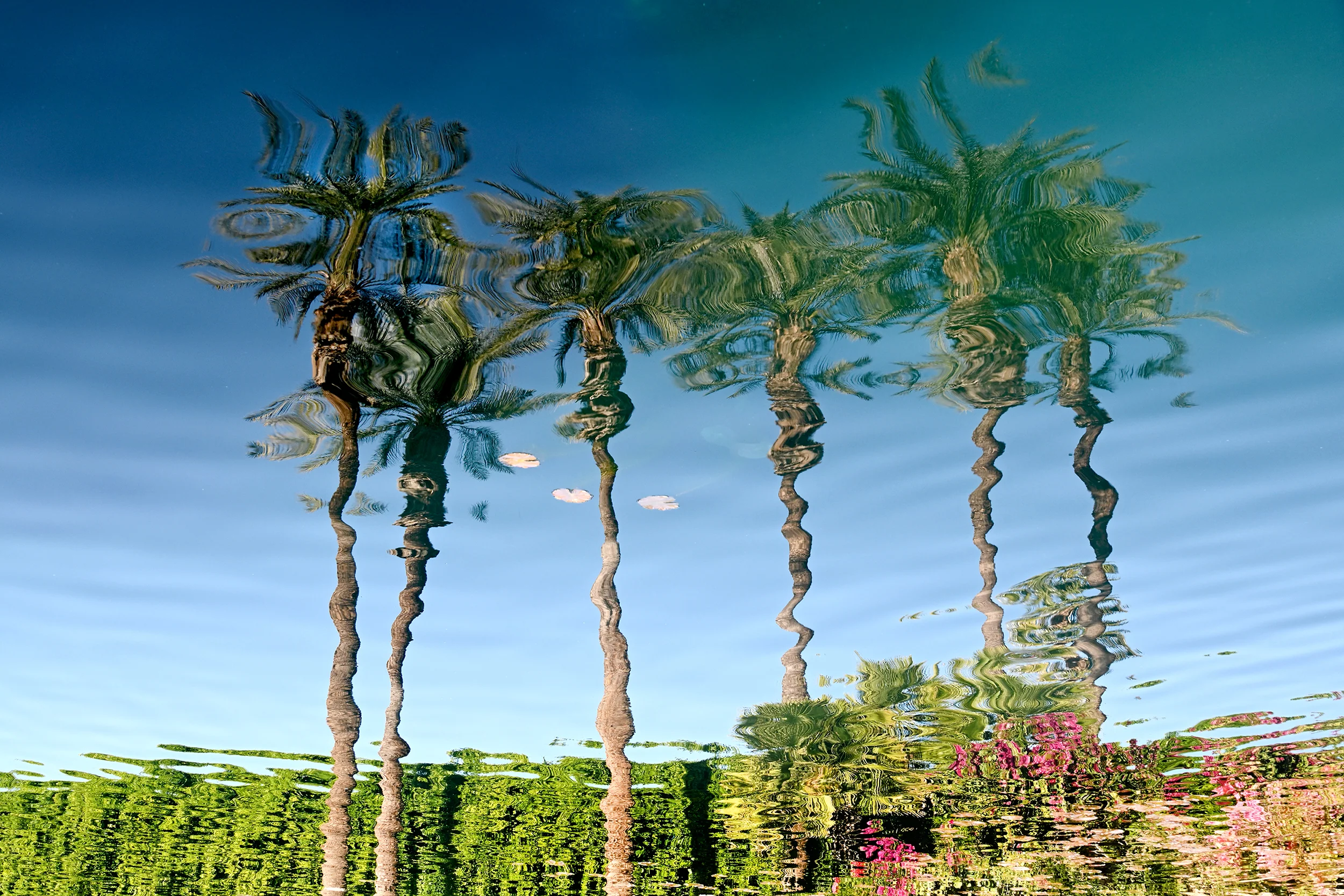 Tropical Pondsoape