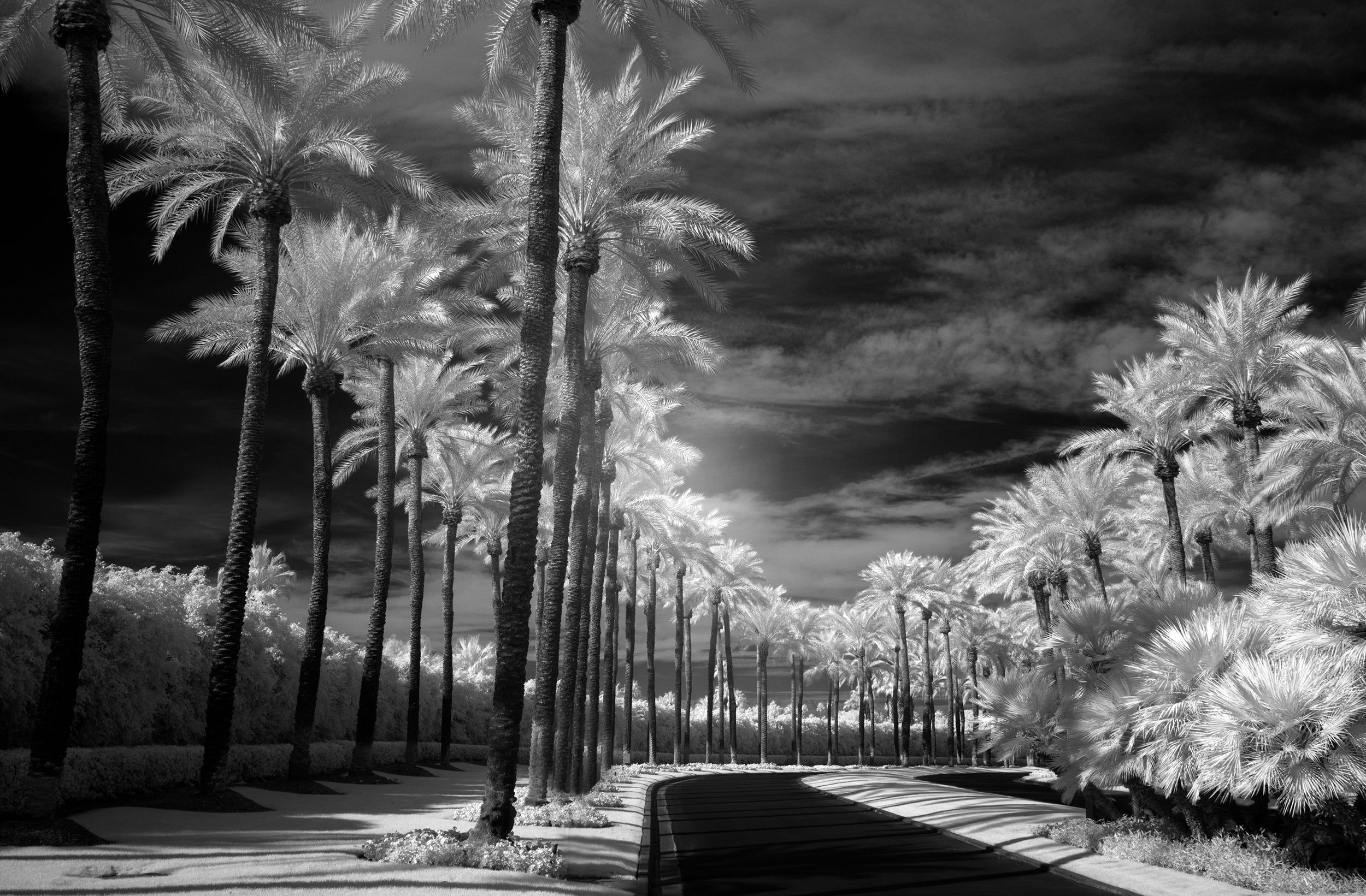 Monochrome Avenue