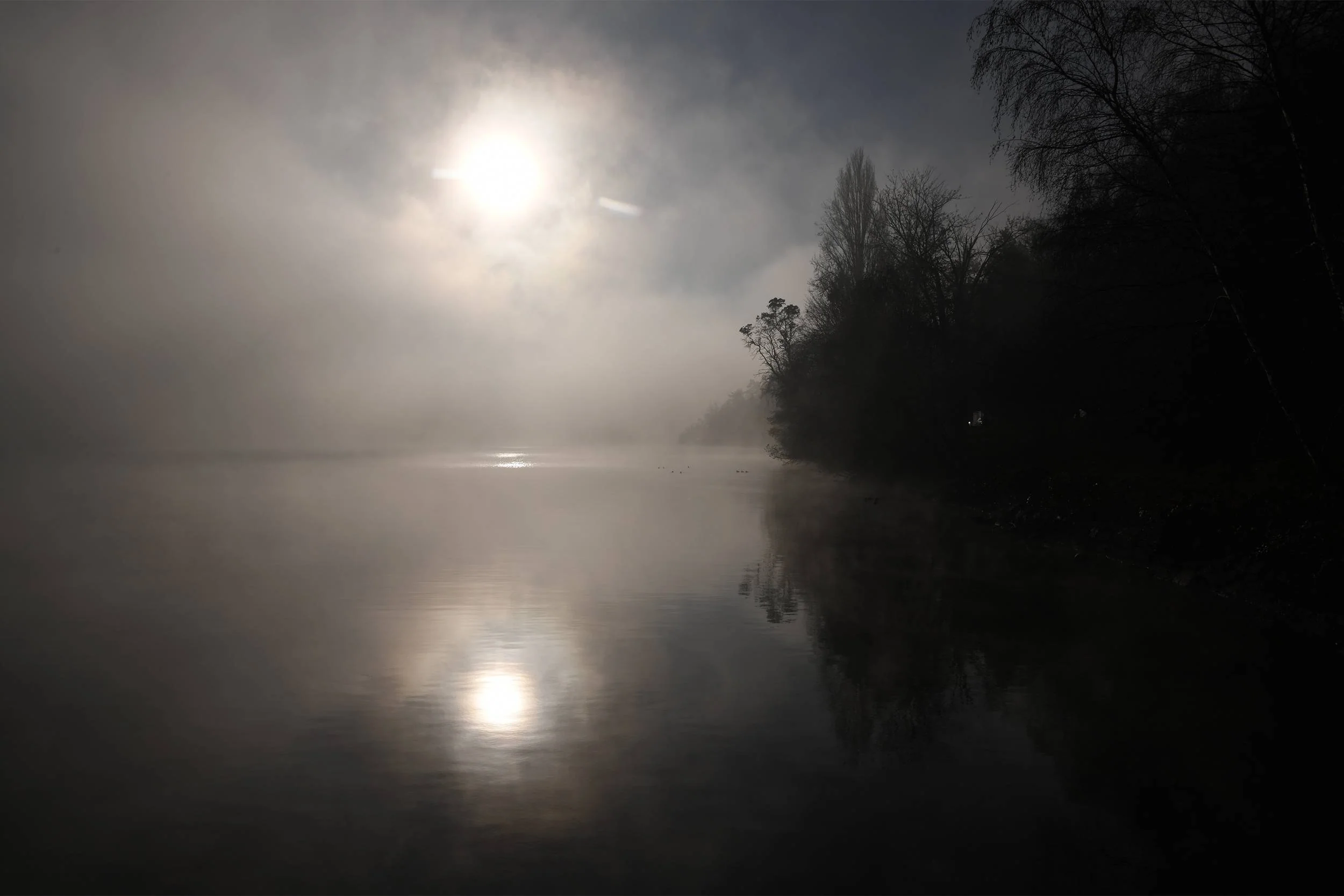 Mist In the Morn