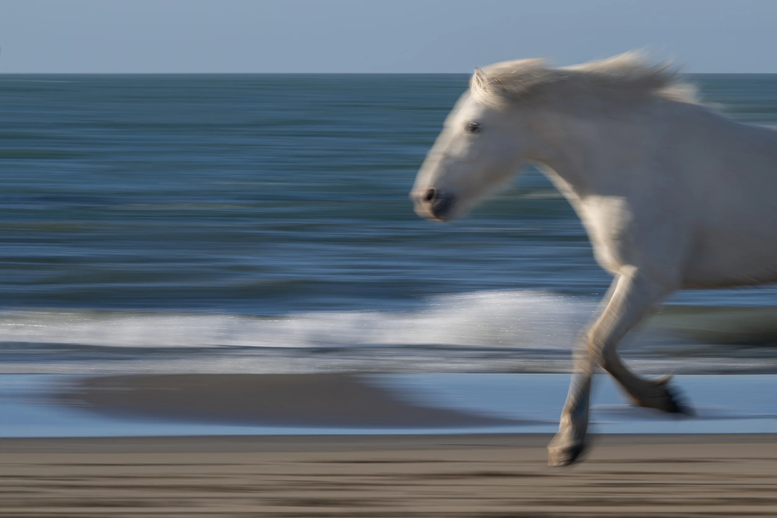 Beach Run