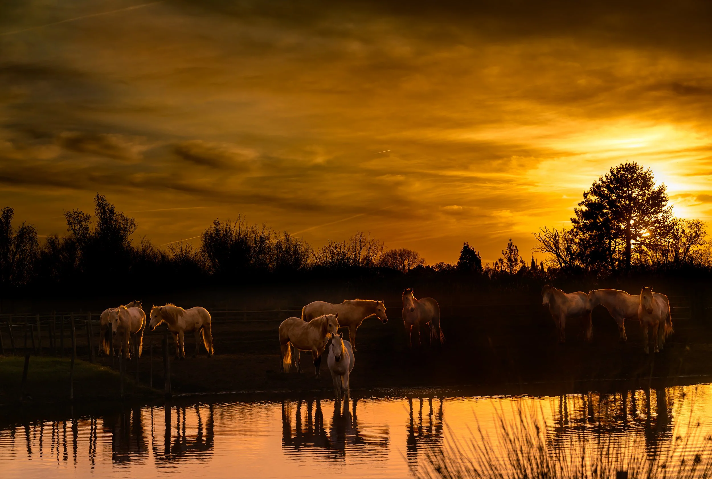 Golden Hour