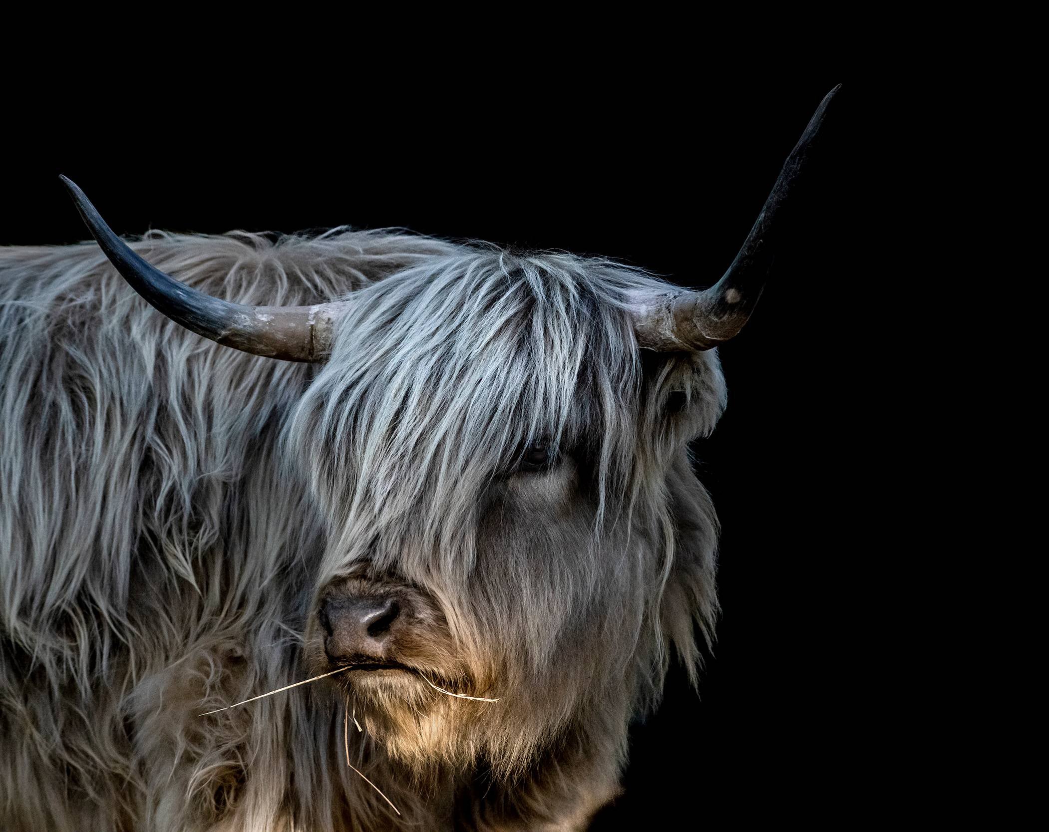 Highland