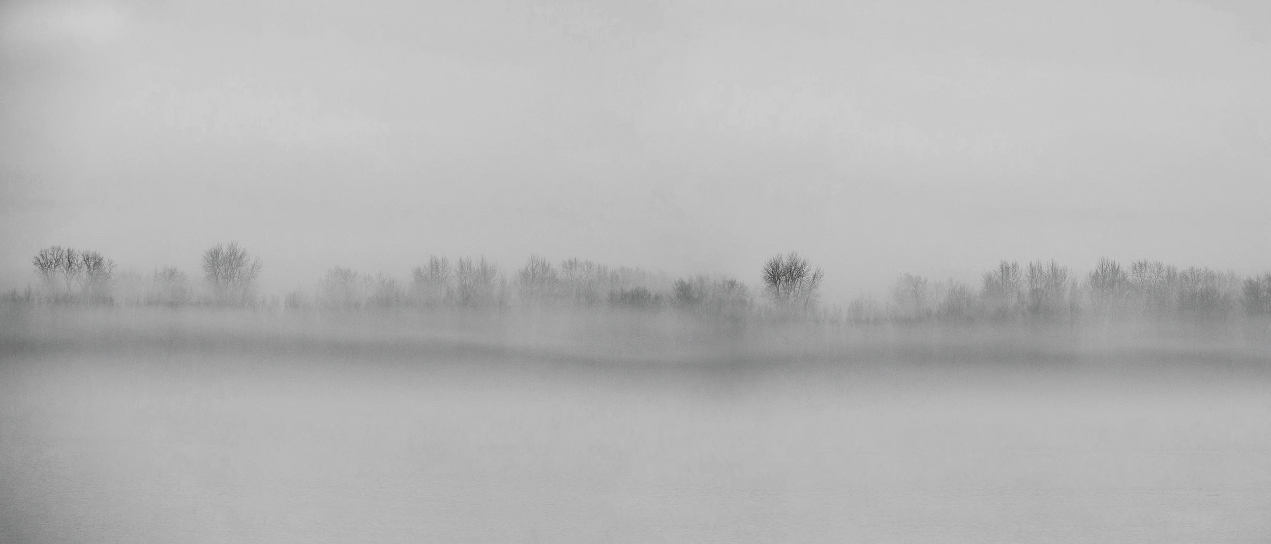 Misty Morning