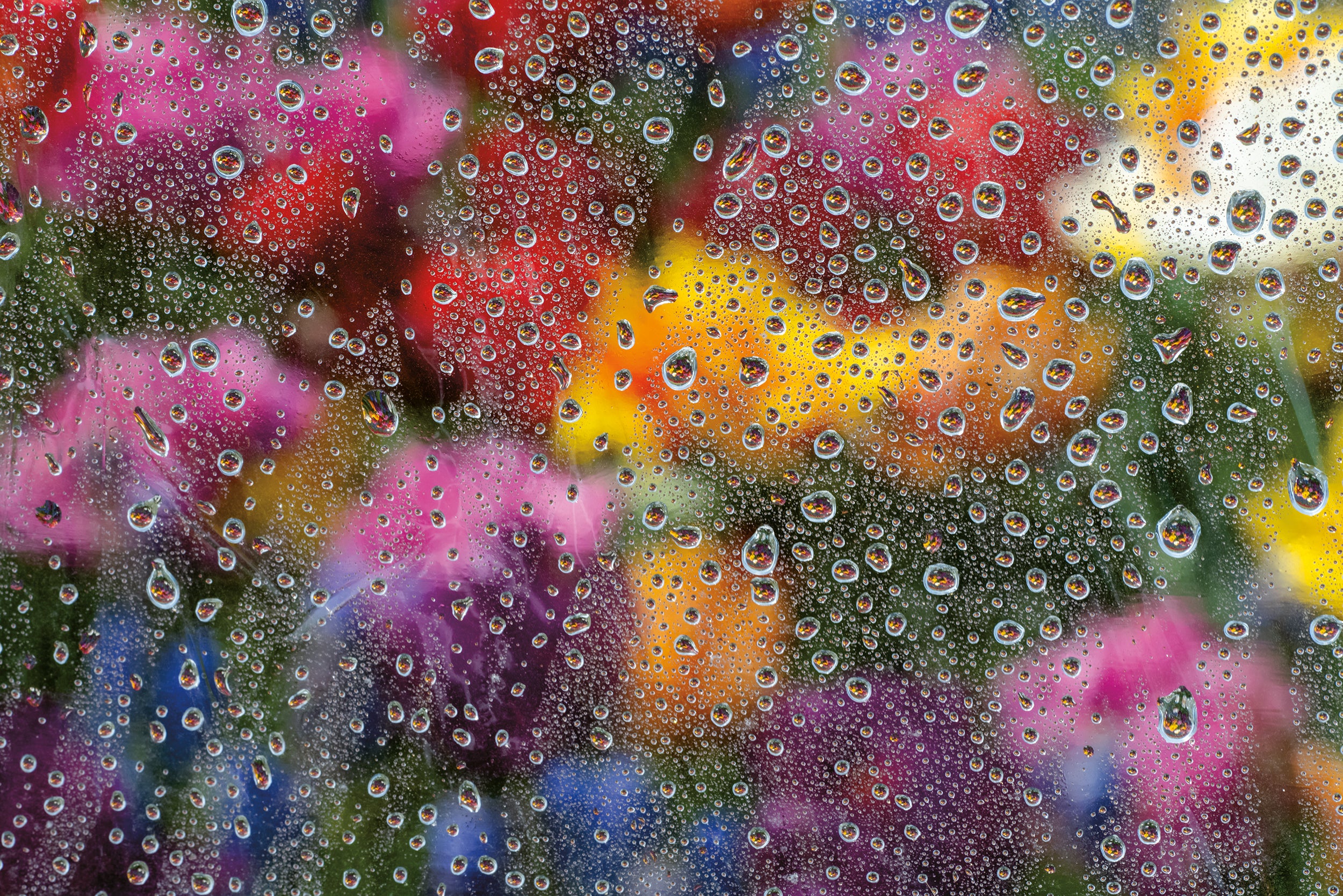 Liquid Sunshine
