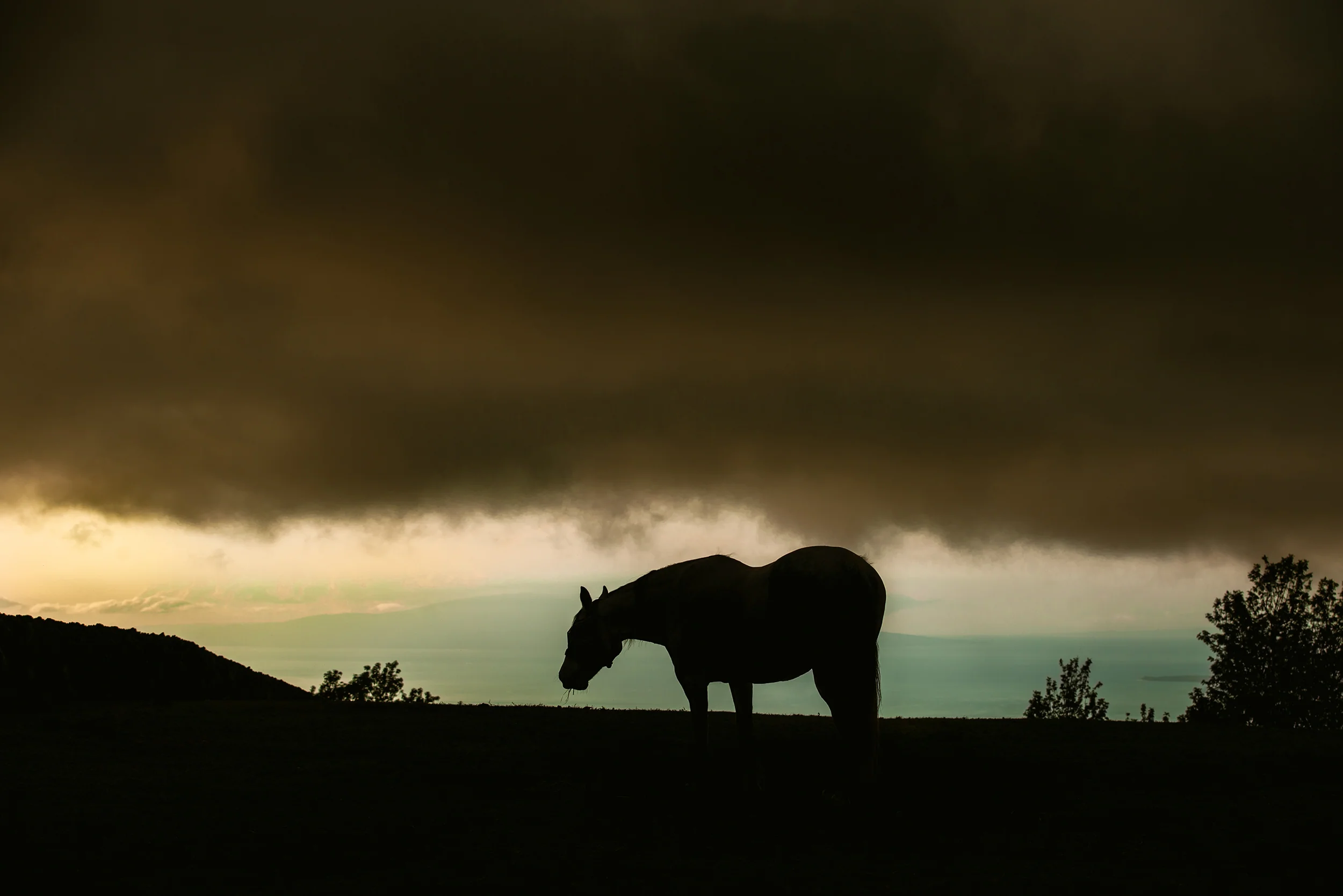 Strom Silhouette