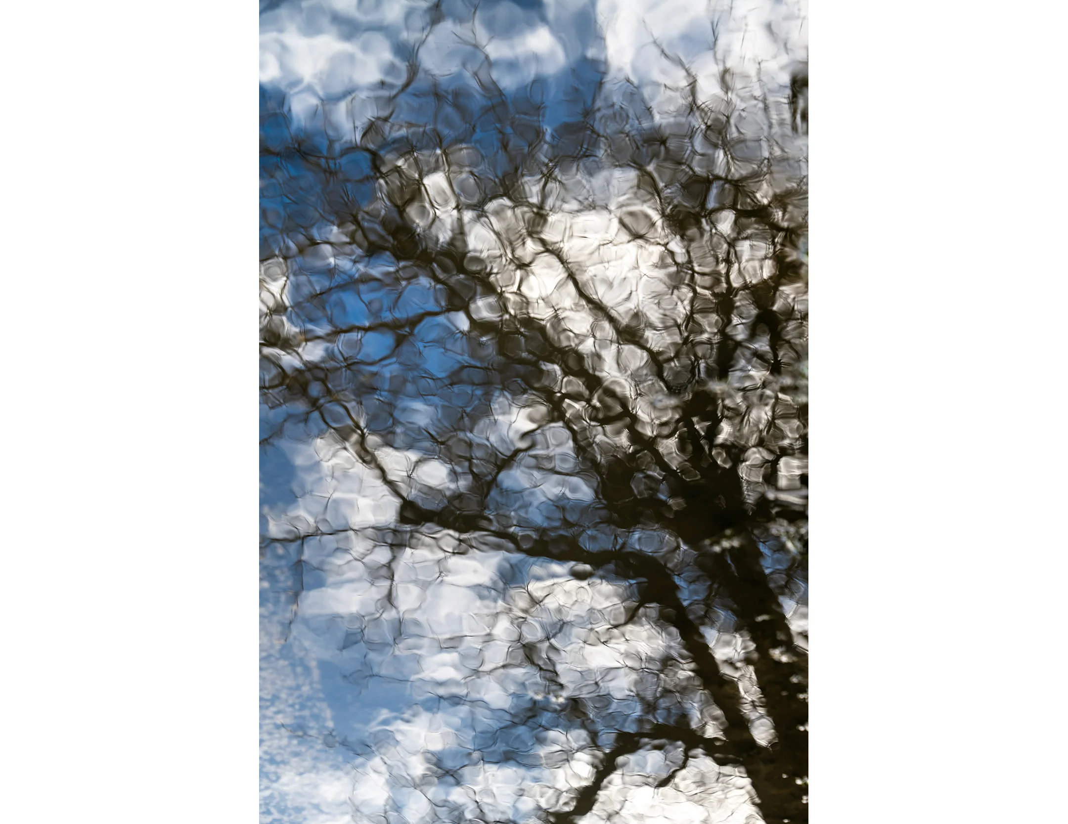 Mirror of Clouds