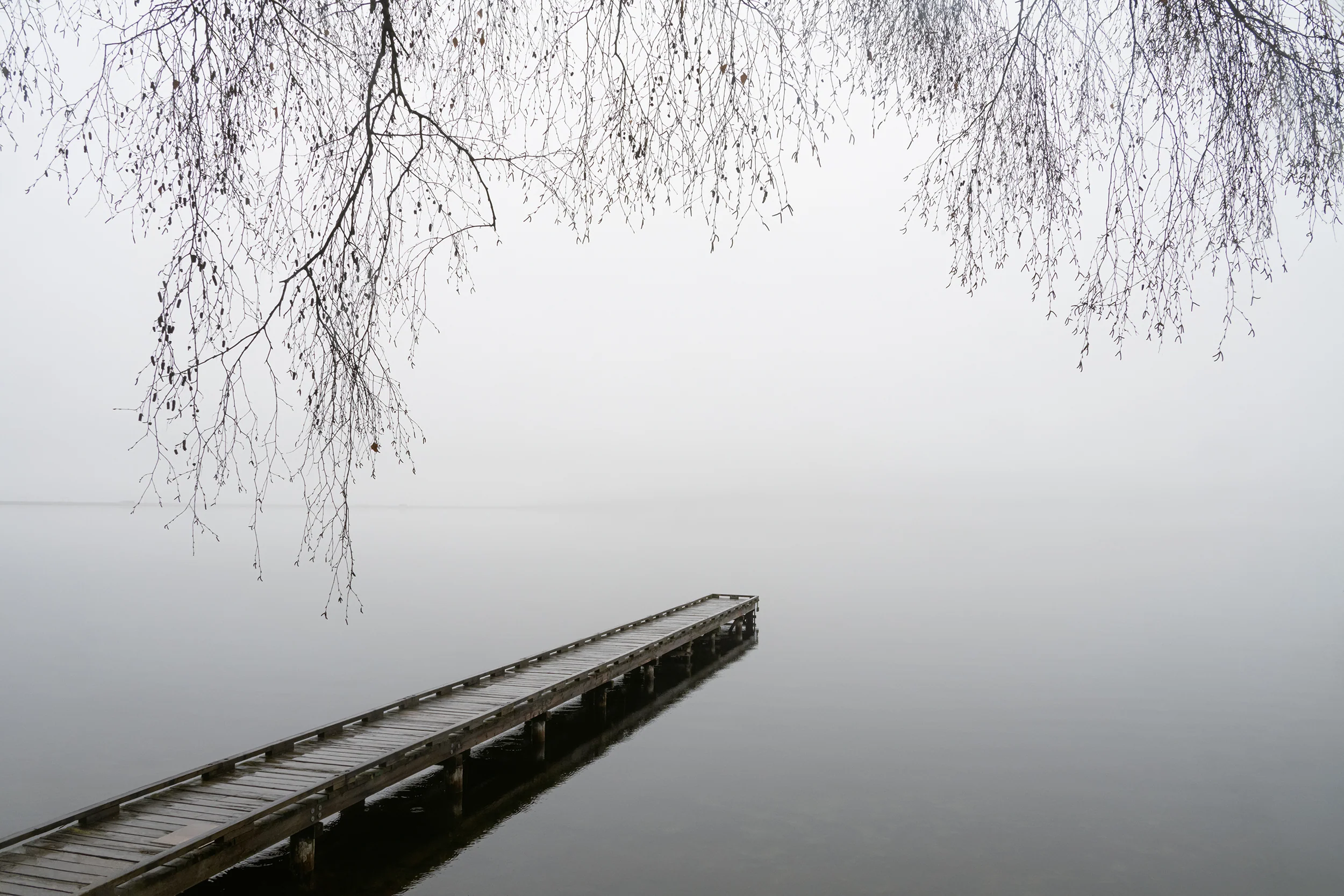 Gray Solitude