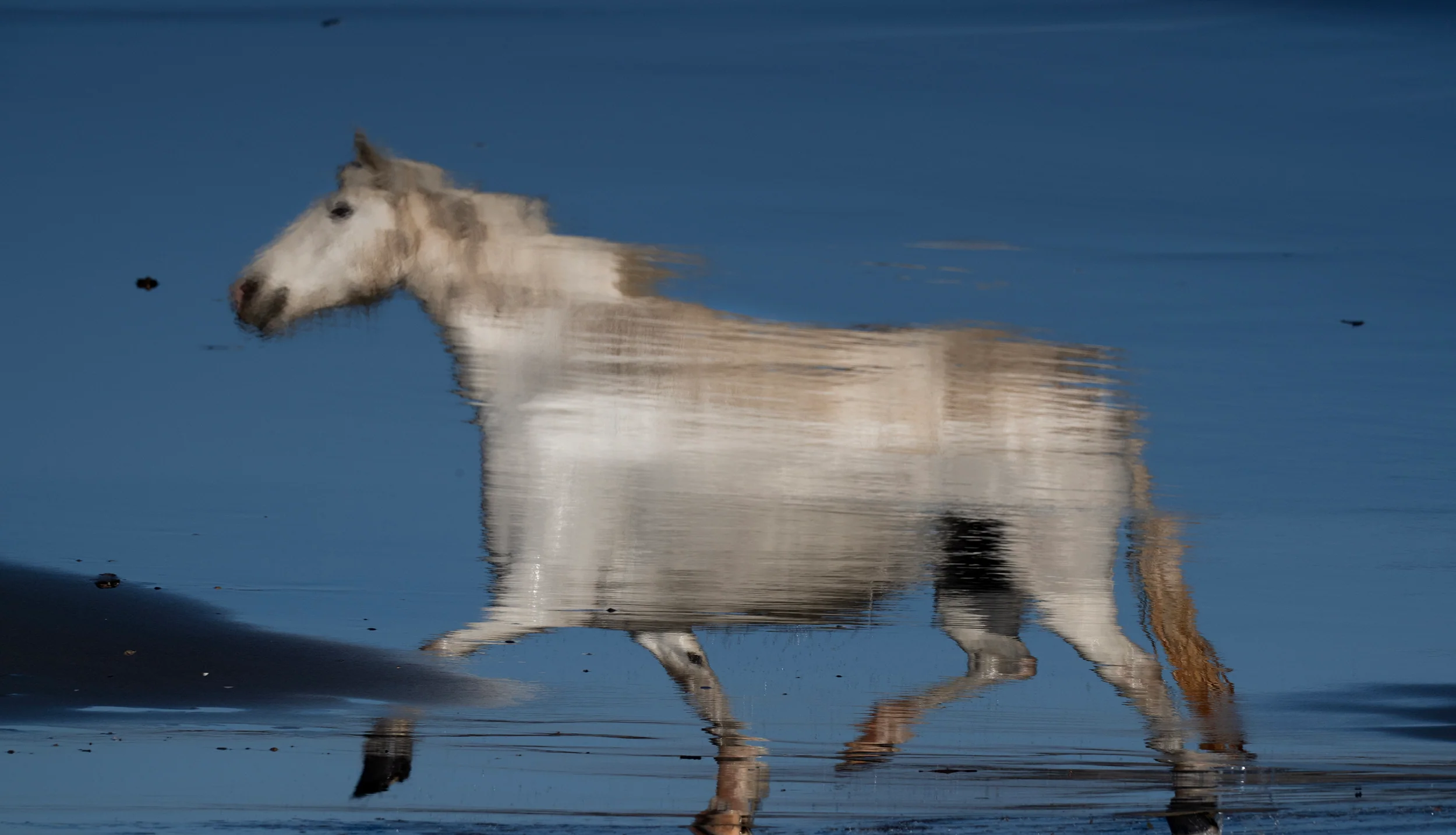 Painted by the  Tide