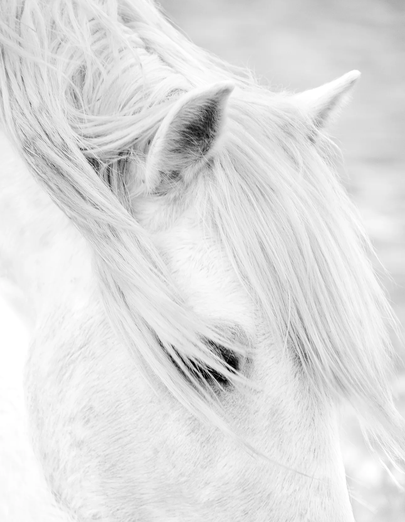 Noble
