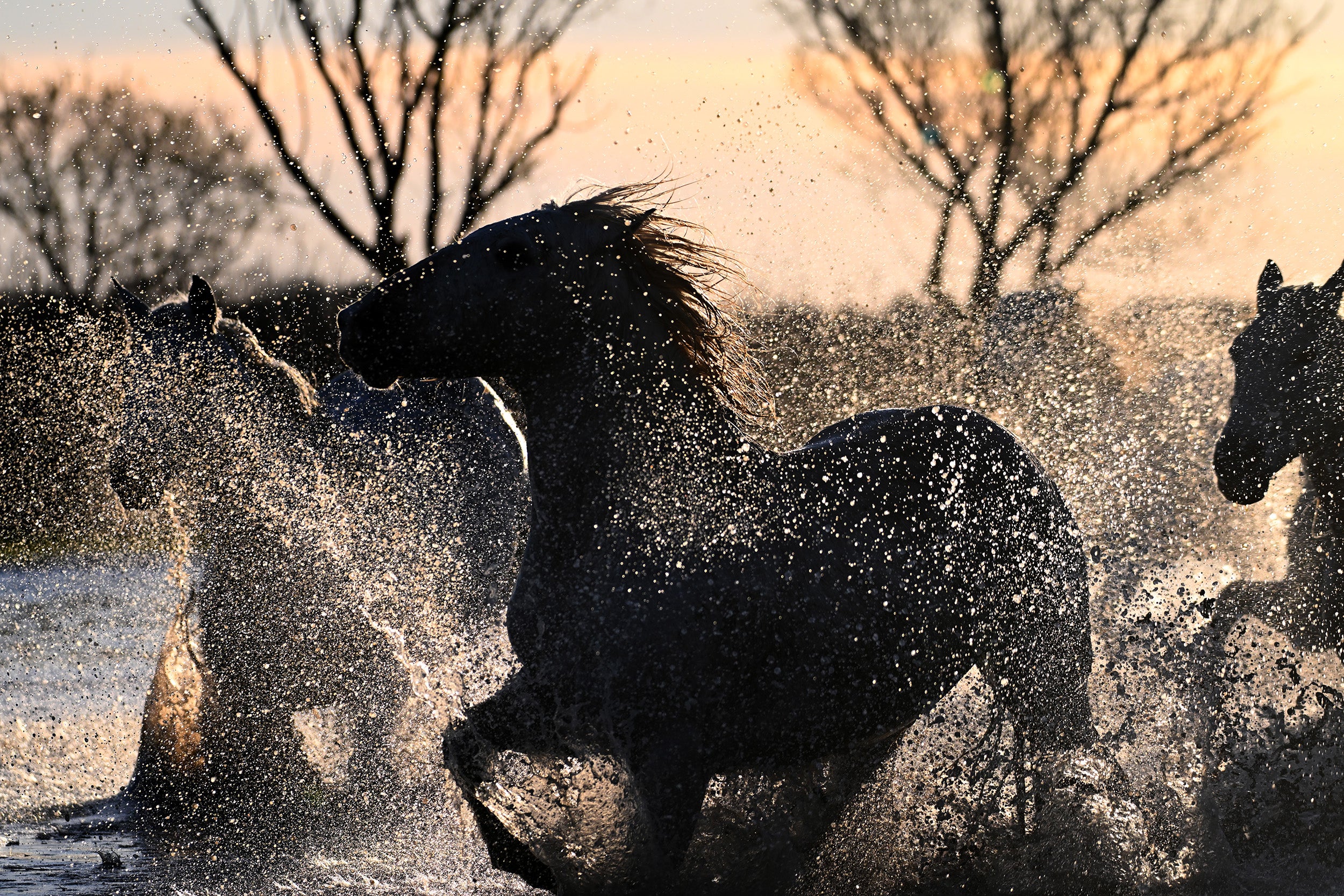 Splash of thunder