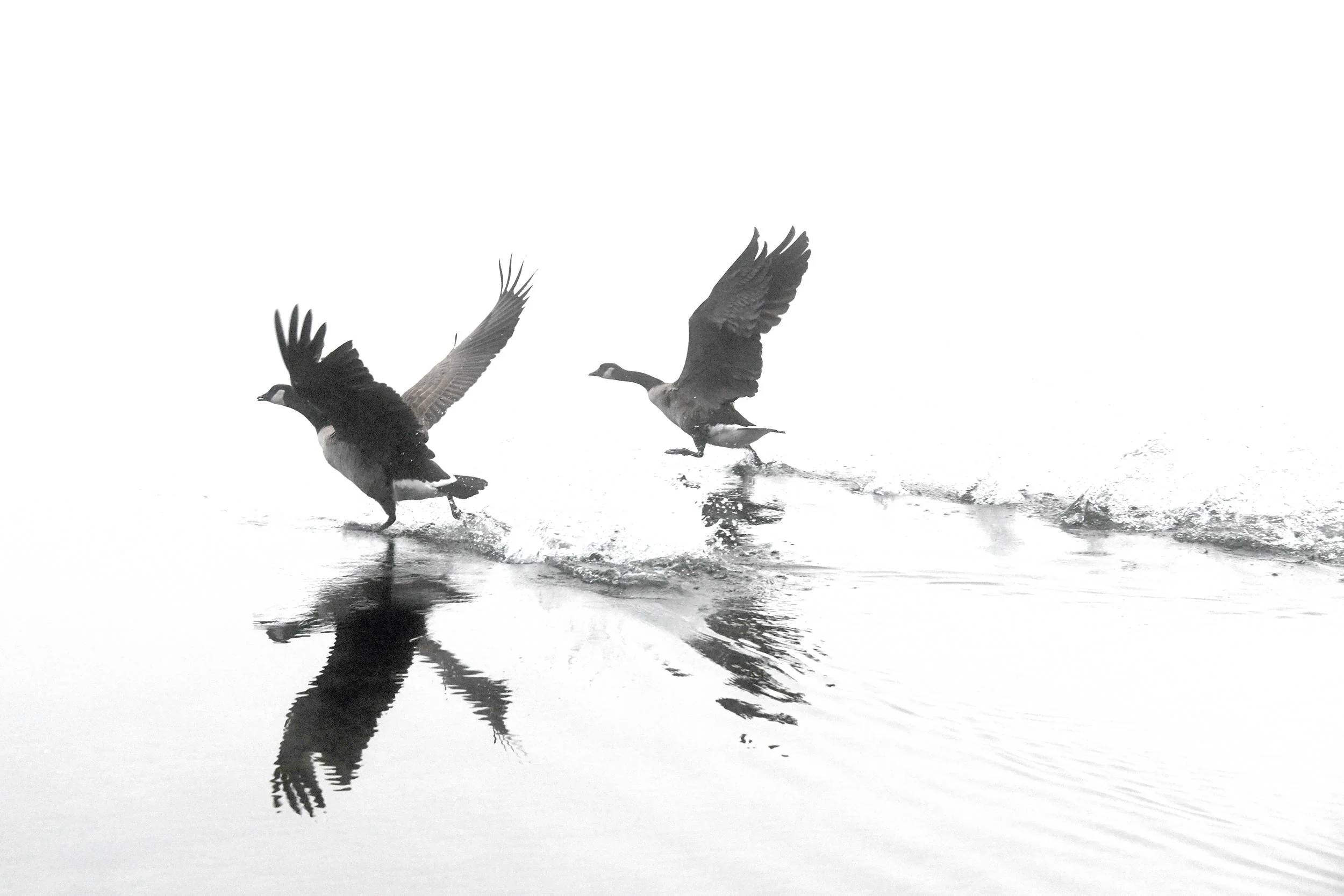 Taking Off