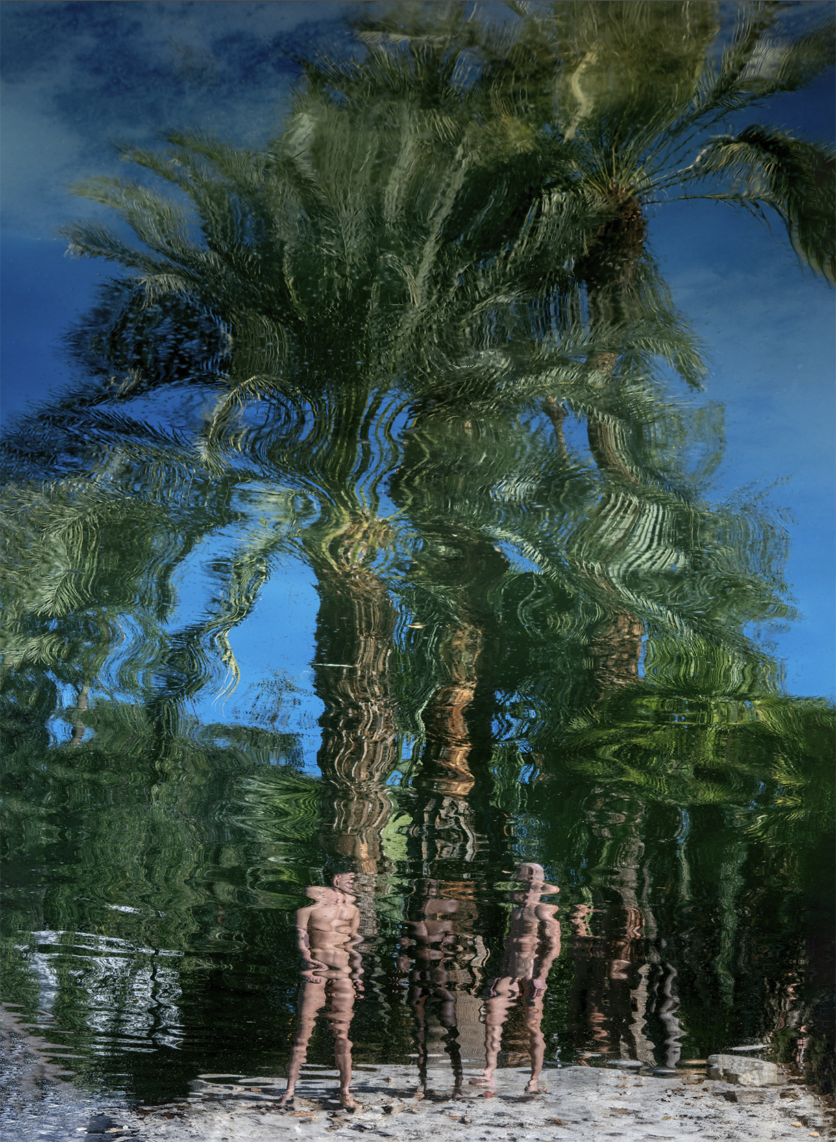 Penis and Palms
