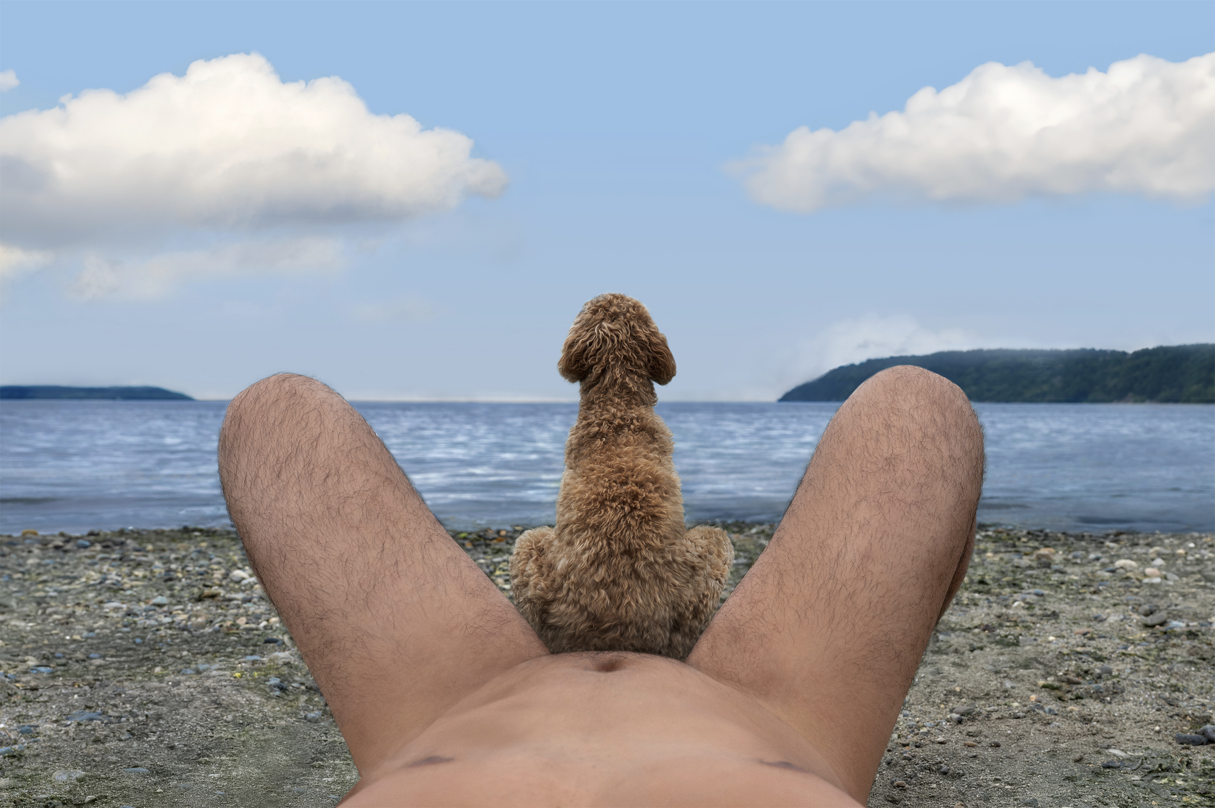 Man's Best Friend