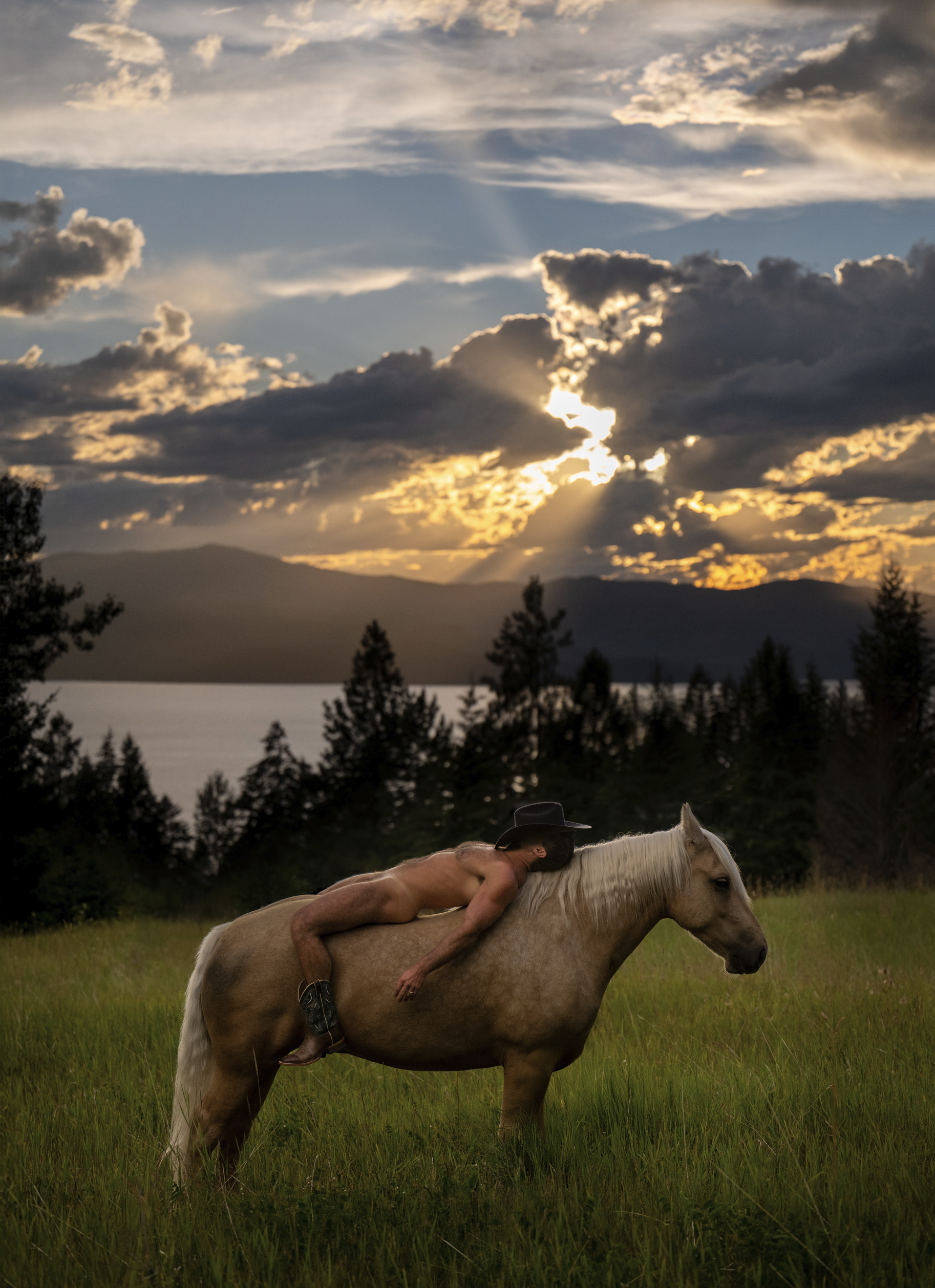 Sunset Cowboy
