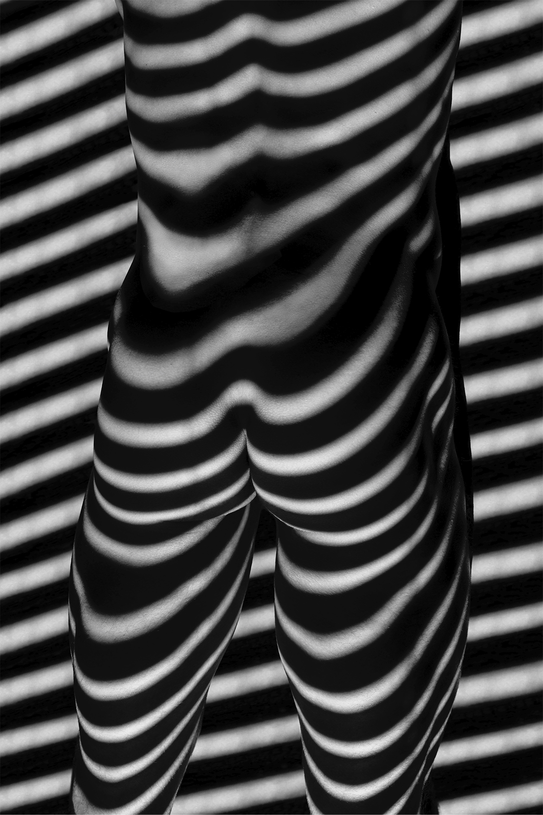 Through the Lines