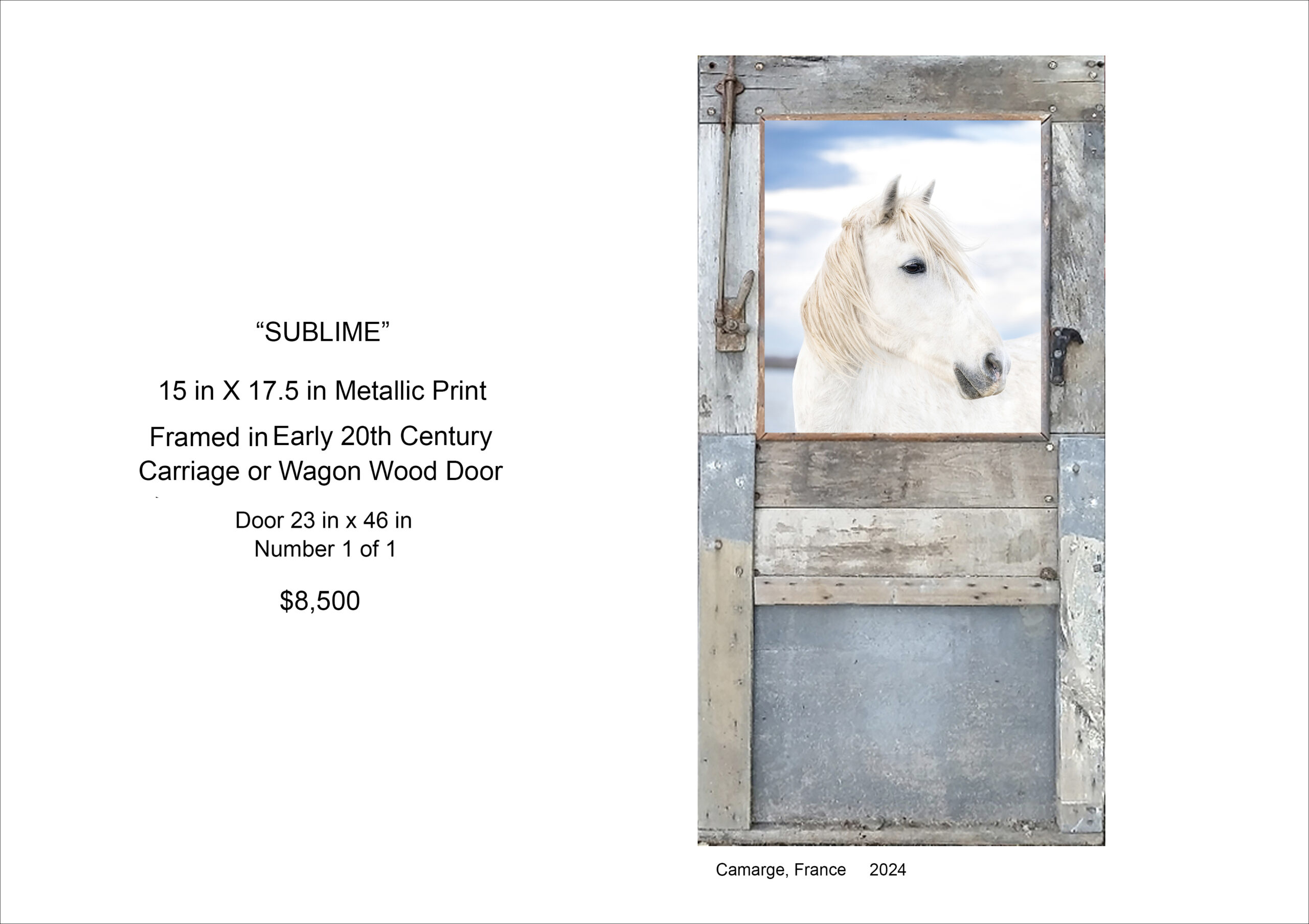 Majestic - Framed In Vintage Wood Door