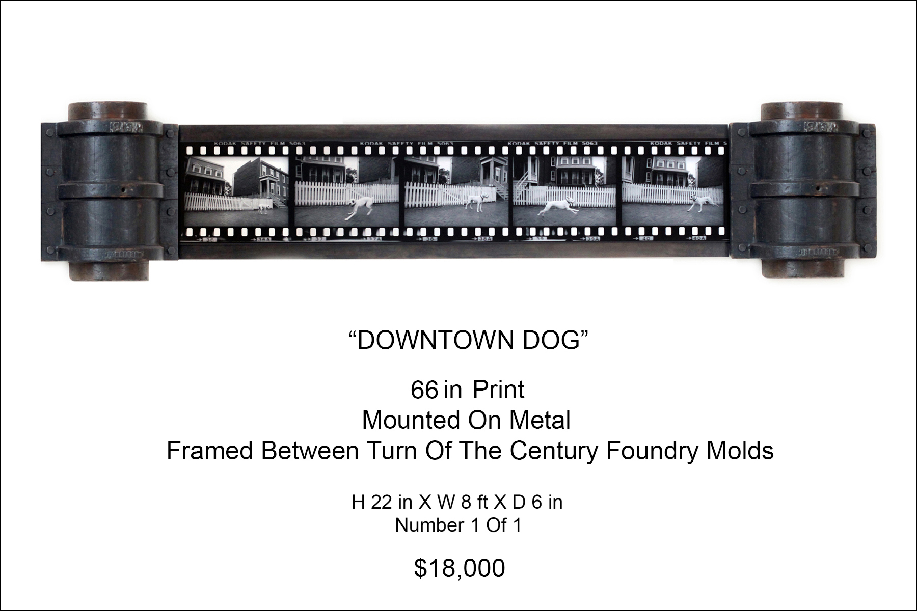 Downtown Dog
