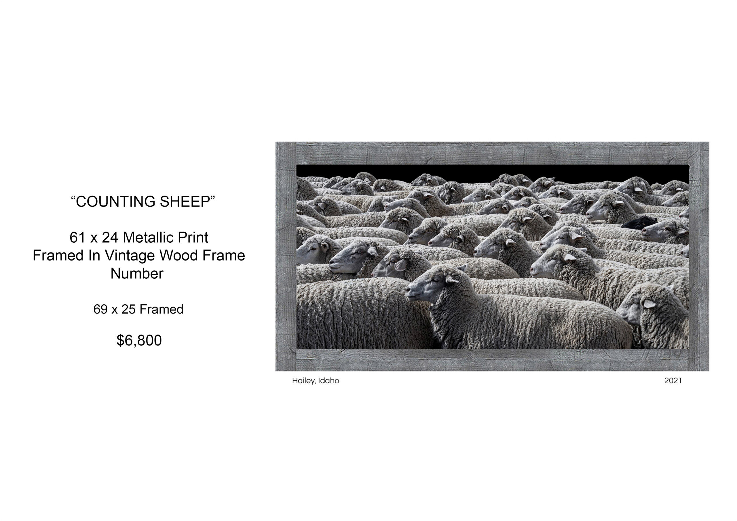 Counting Sheep - Framed In Reclaimed Wood Frame