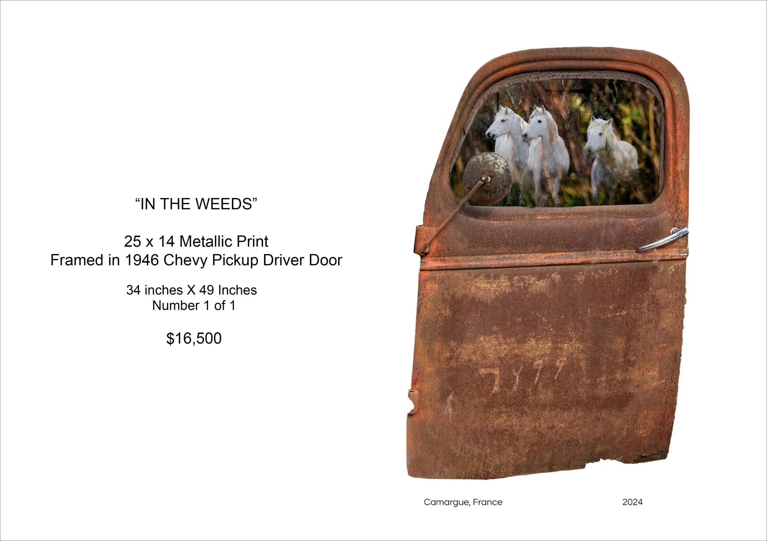 In The Weeds - Framed In Vintage Truck Door