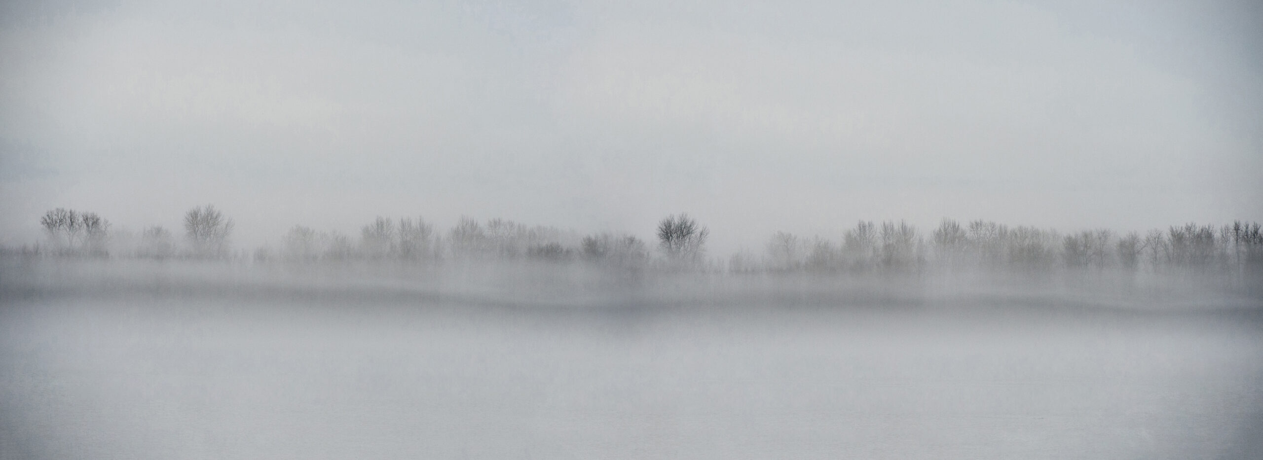 Misty Morning